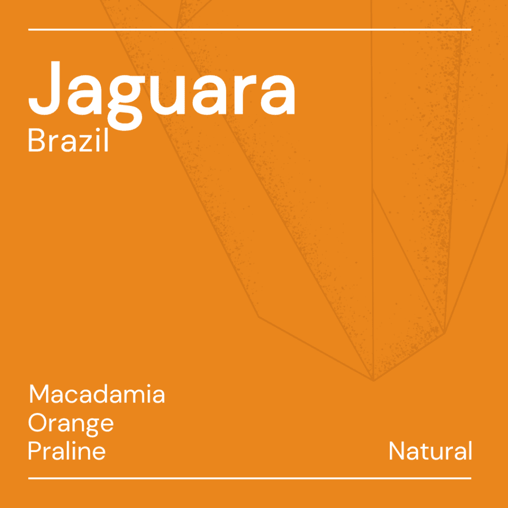 KEEN Jaguara - Brazil