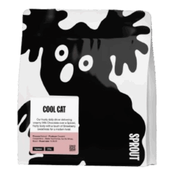 Sprout Cool Cat - Brazil
