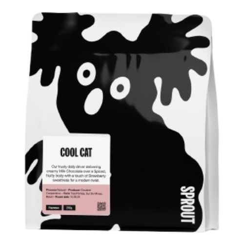 Sprout Cool Cat - Brazil