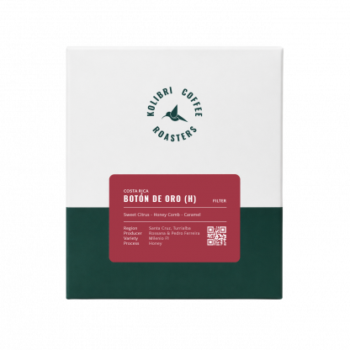 Kolibri Coffee Botón de Oro - Honey - Costa Rica